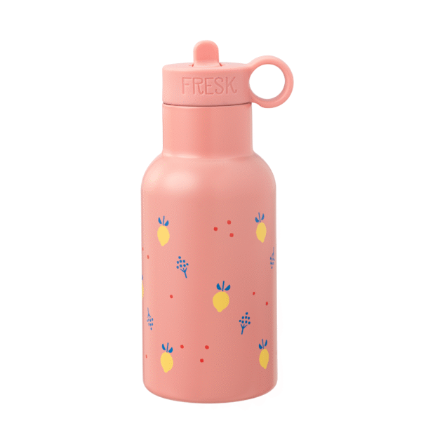 Fresk thermofles RVS Citroen