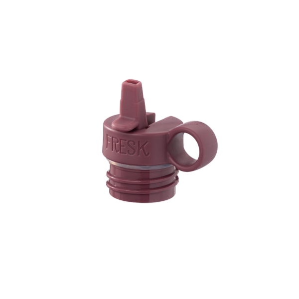 Fresk thermofles RVS Besjes - Afbeelding 4