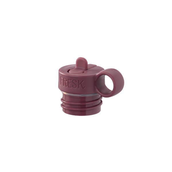 Fresk thermofles RVS Besjes - Afbeelding 5