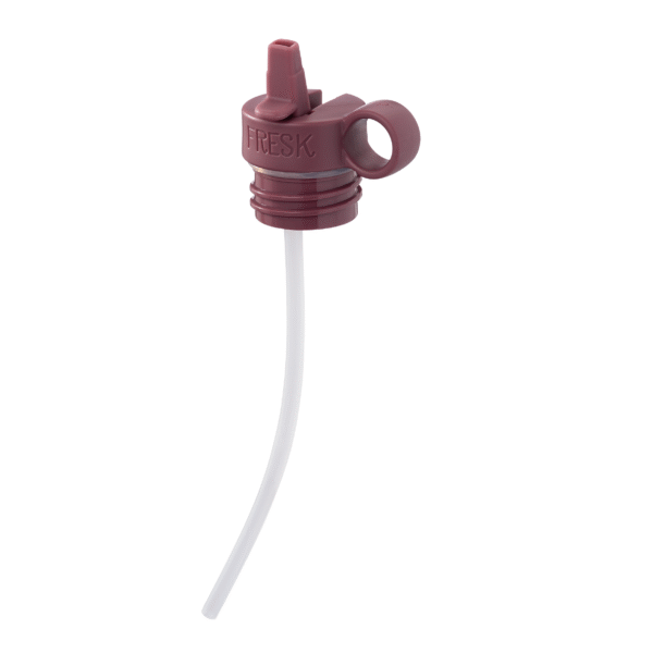 Fresk thermofles RVS Besjes - Afbeelding 6