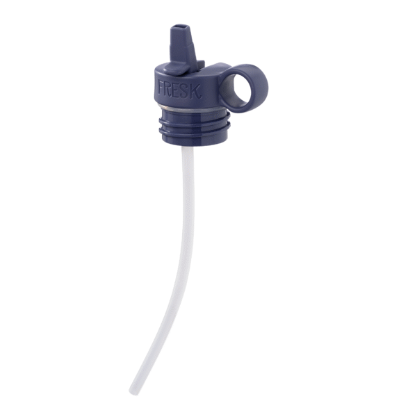 Fresk thermofles RVS Dino - Afbeelding 6